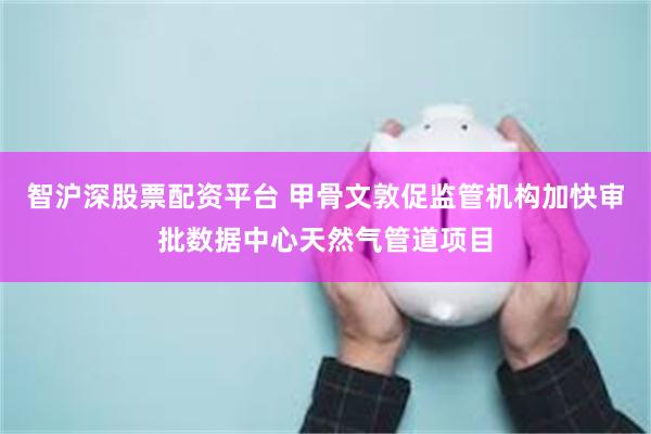 智沪深股票配资平台 甲骨文敦促监管机构加快审批数据中心天然气管道项目